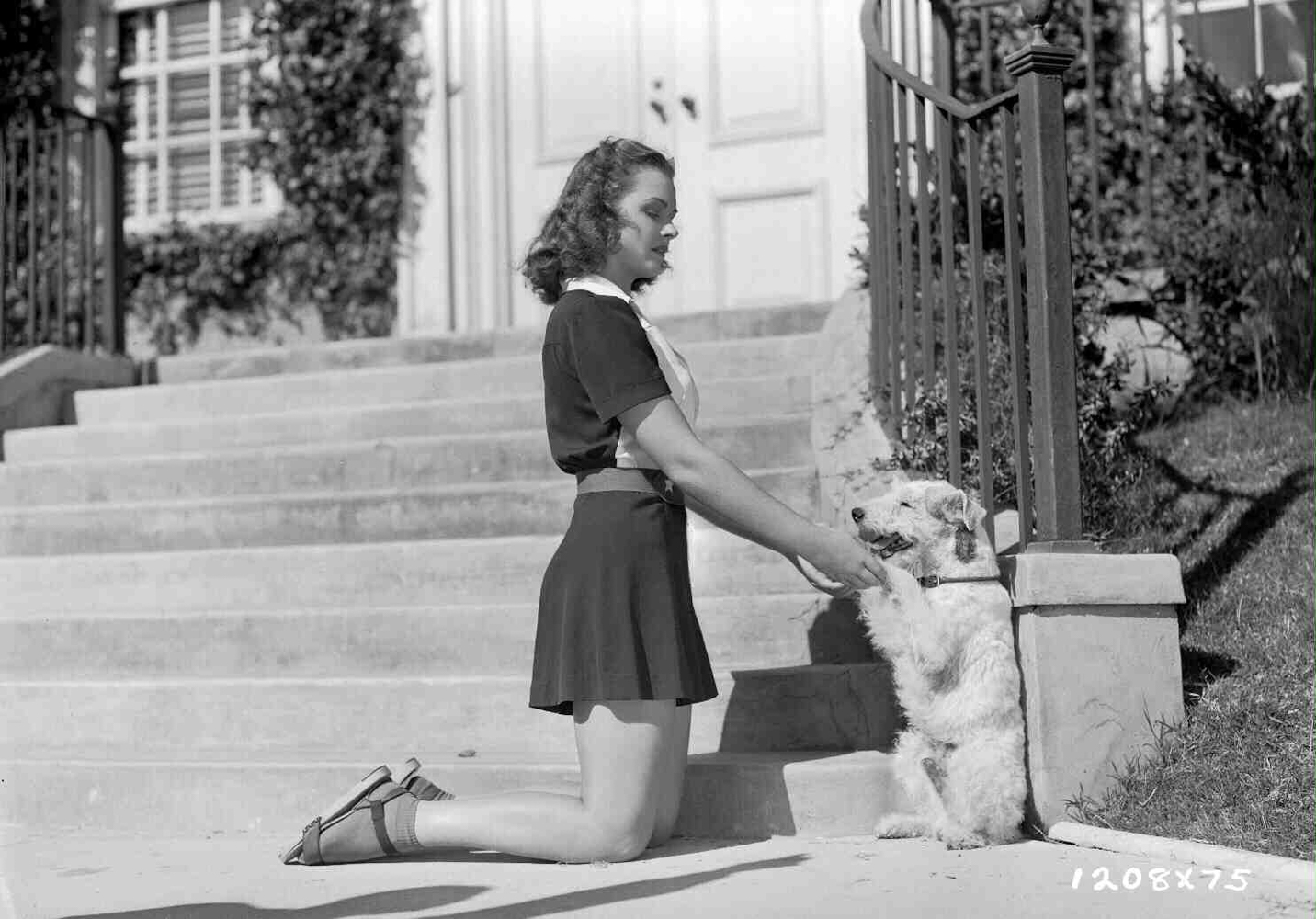 Shadow of The Thin Man Publicity Stills ✻ Donna Reed with Asta ✻.