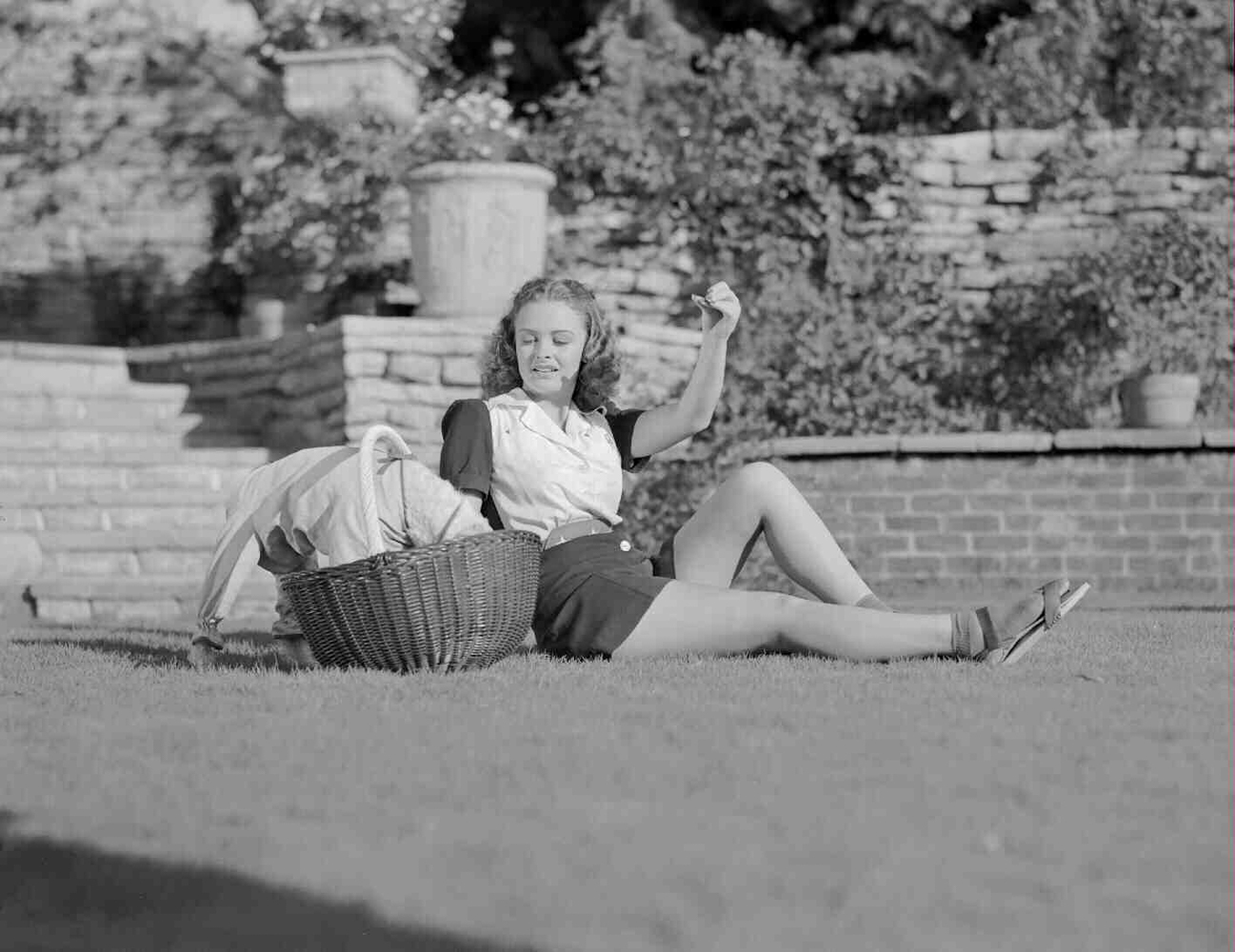 Shadow of The Thin Man Publicity Stills ✻ Donna Reed with Asta ✻.