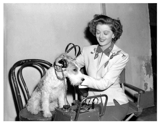 the thin man goes home 1945 mryna loy with asta